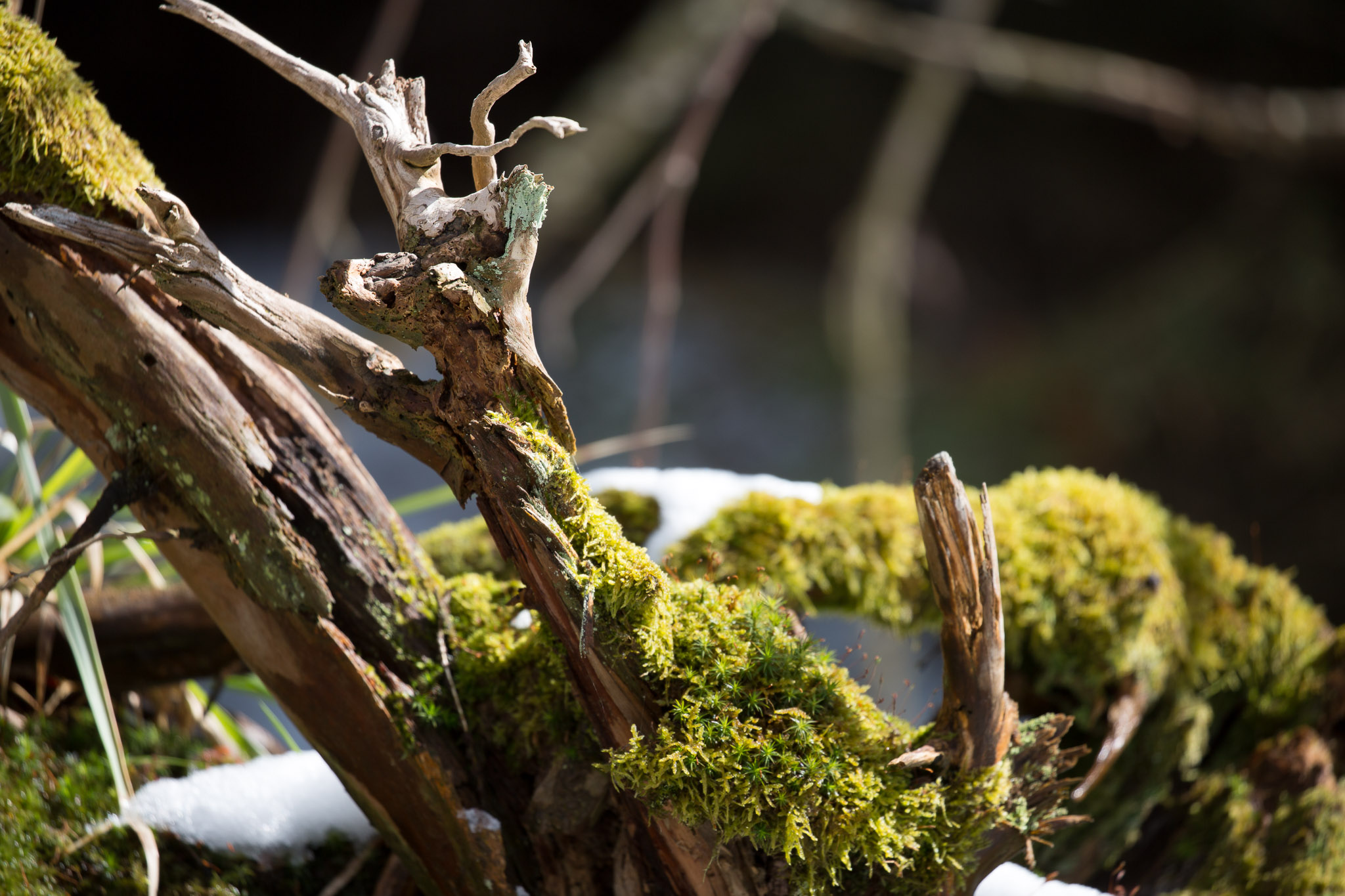 20220409151015 3K6A1925